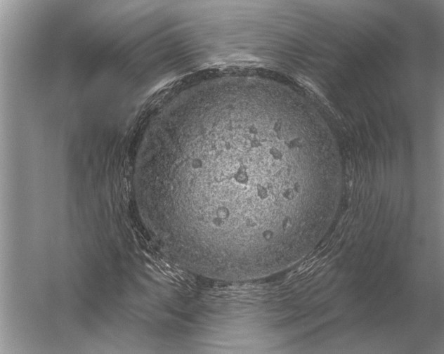 X0000056371063200509091643