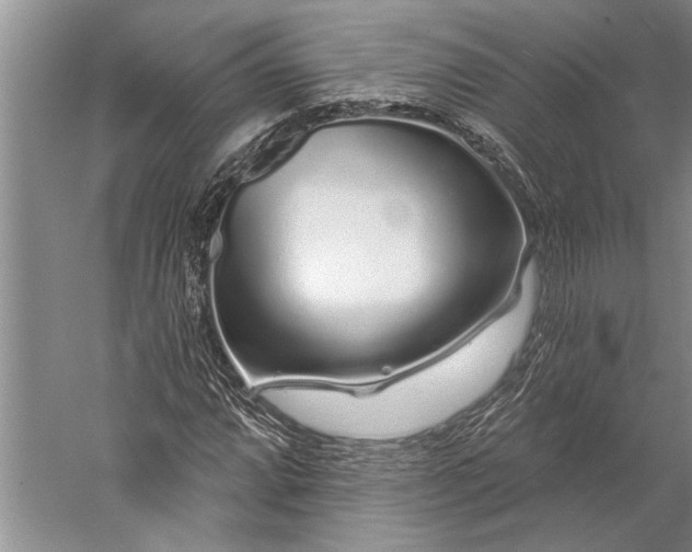 X0000056371064200509091643