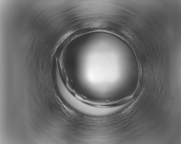 X0000056371066200509091643