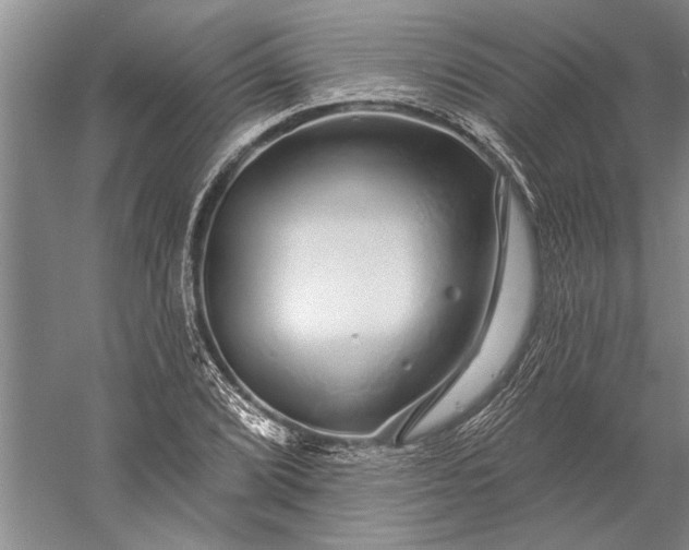 X0000056371072200509091643