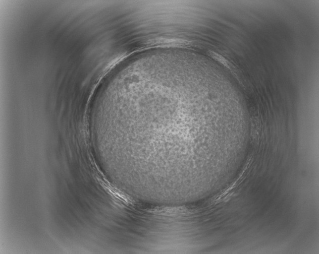 X0000056371074200509091643