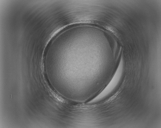 X0000056371077200509091643