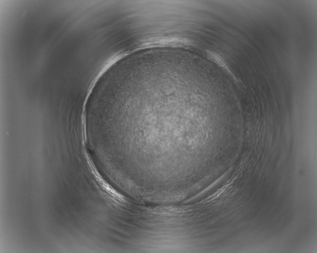 X0000056371079200509091643