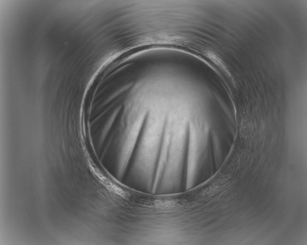 X0000056371080200509091643