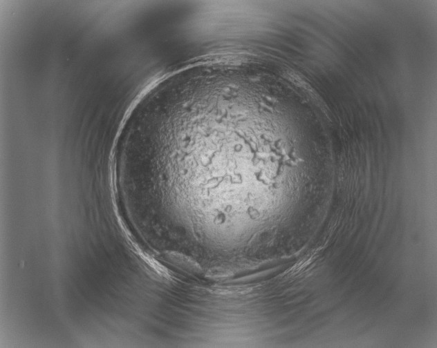 X0000056371083200509091642