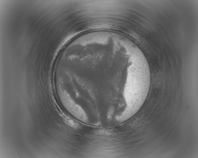 X0000056371086200509091642