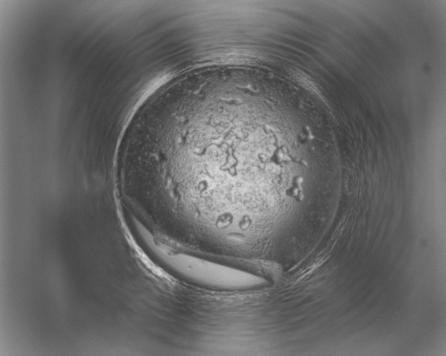 X0000056371087200509091642