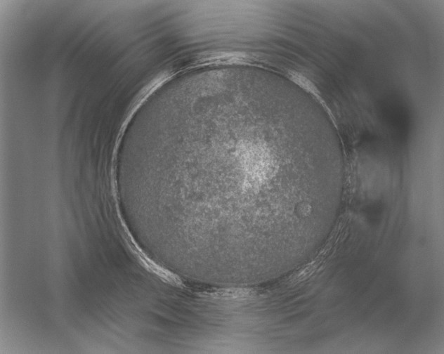 X0000056371090200509091642