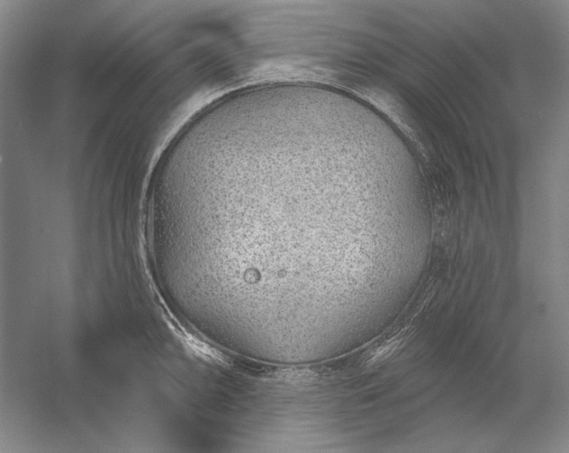 X0000056371094200509091642