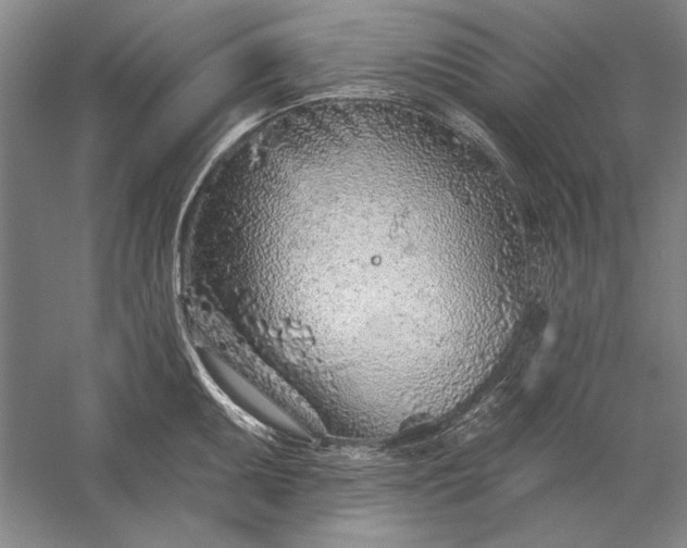 X0000056371095200509091642