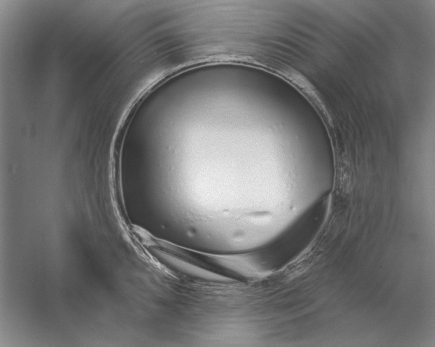 X0000056371096200509091642