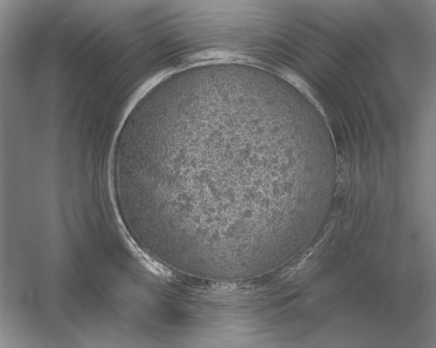 X0000056371098200509091642