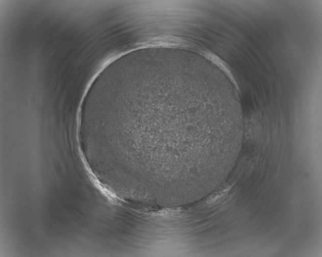 X0000056371099200509091642