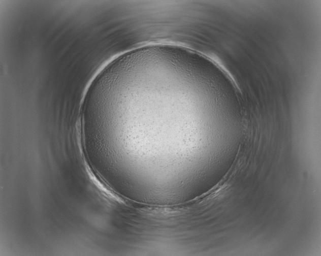 X0000056371100200509091642