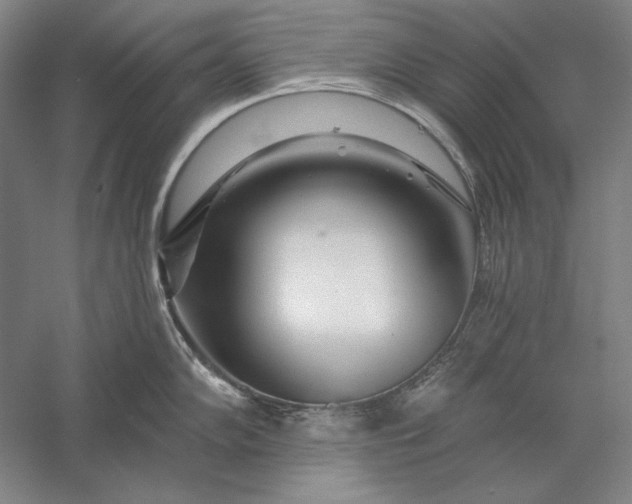 X0000056371102200509091642