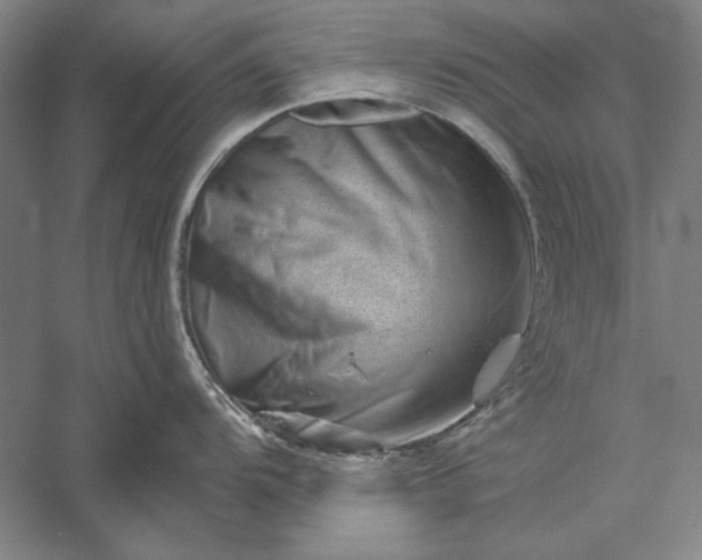 X0000056371104200509091642