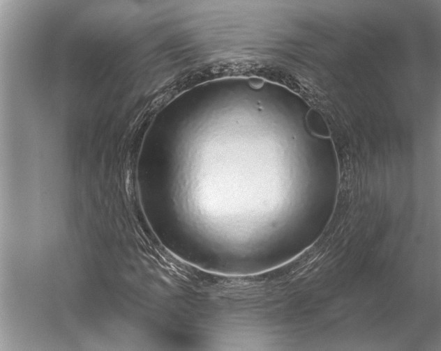 X0000056371109200509091641