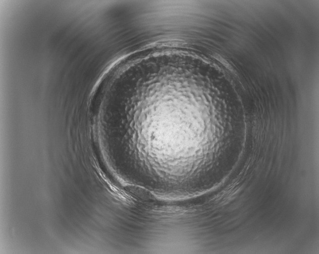 X0000056371115200509091641