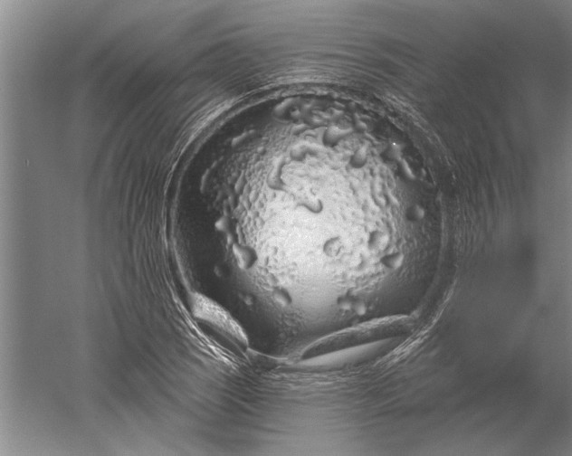 X0000056371121200509091642