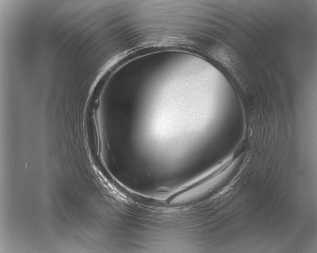 X0000056371122200509091642