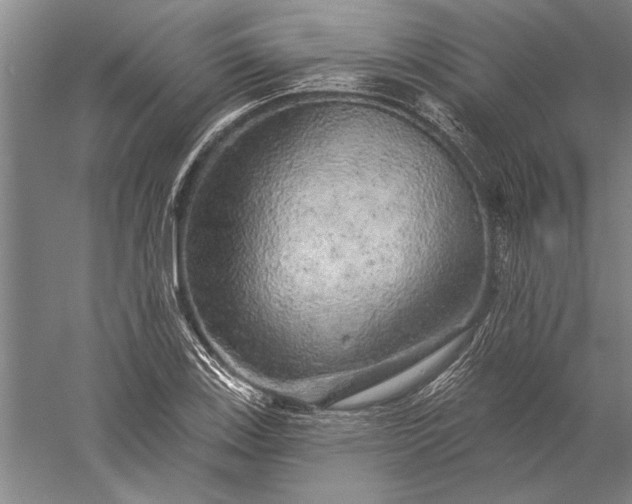 X0000056371123200509091642