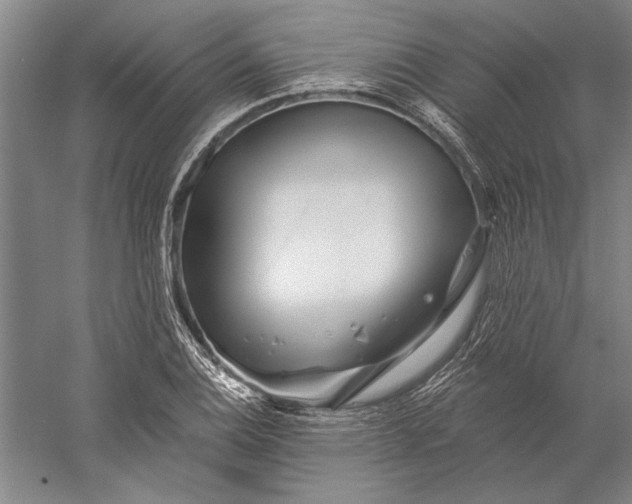 X0000056371124200509091642