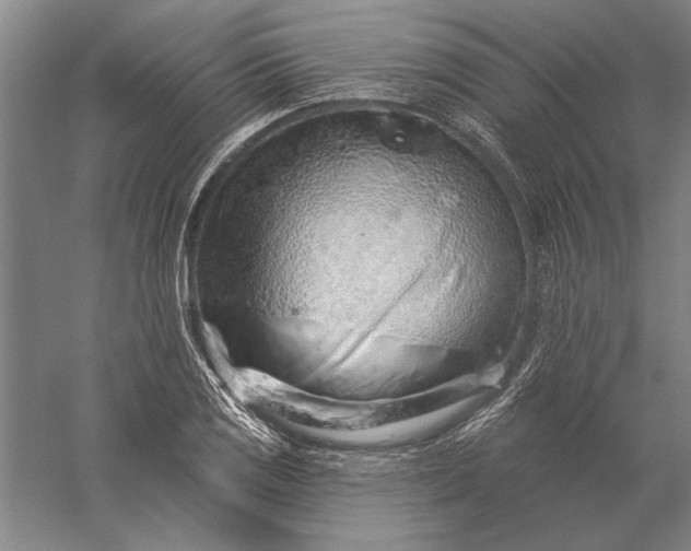 X0000056371125200509091642