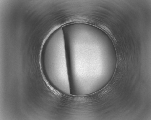 X0000056371128200509091642