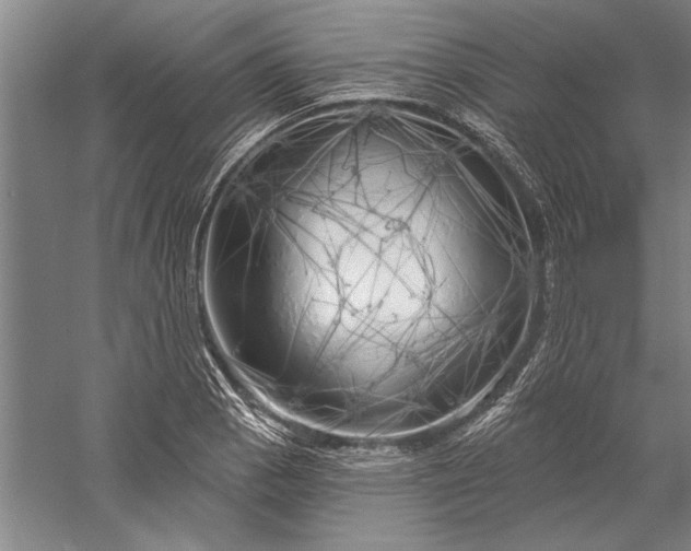 X0000056371129200509091642