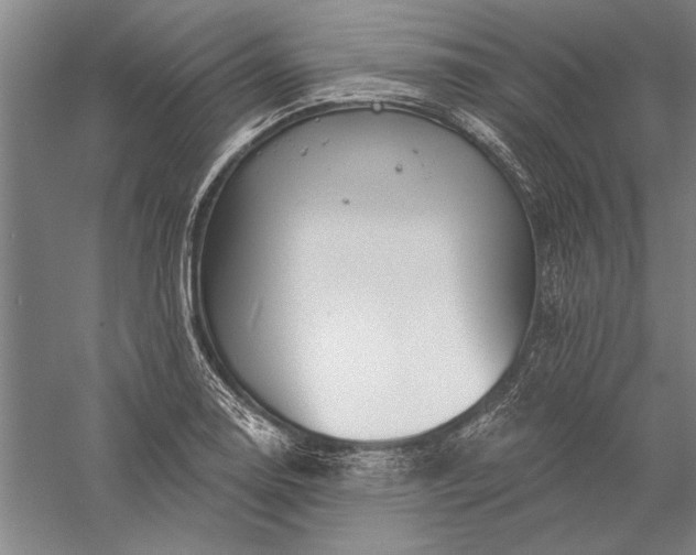 X0000056371130200509091642