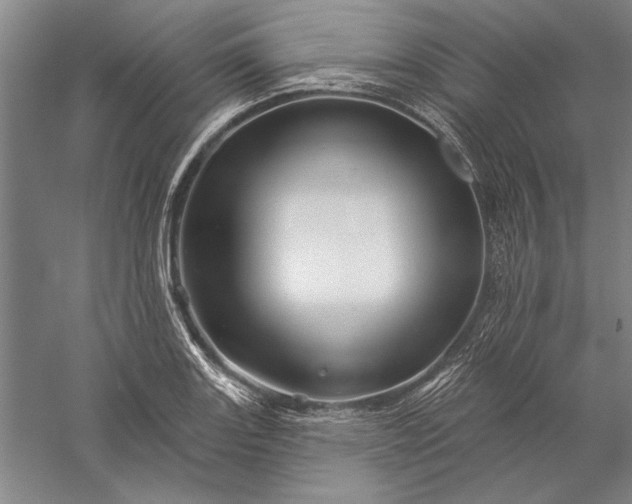 X0000056371131200509091642