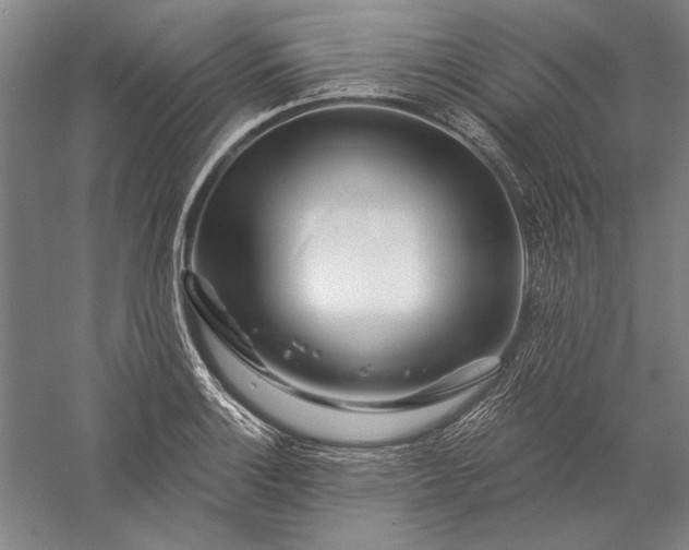 X0000056371132200509091642