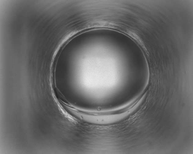 X0000056371136200509091642