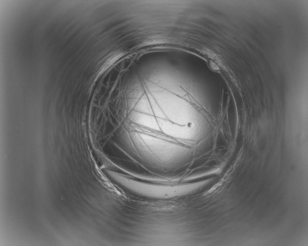 X0000056371137200509091642