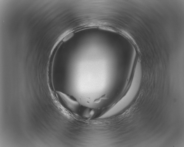 X0000056371138200509091642