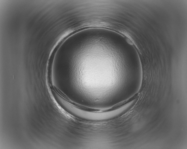 X0000056371139200509091642