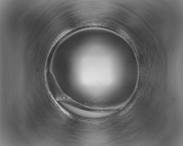 X0000056371141200509091642