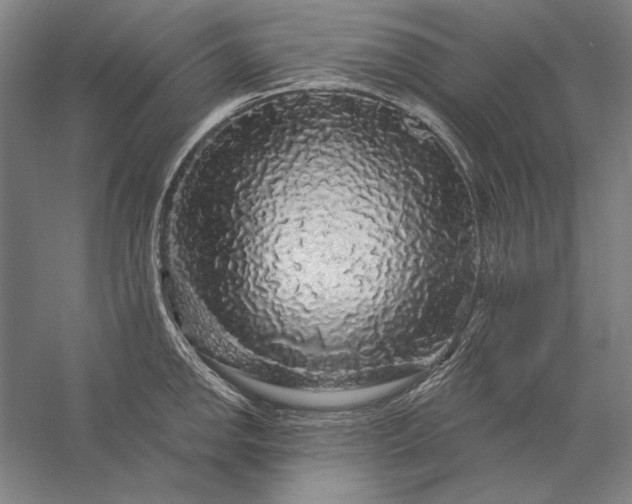 X0000056371142200509091642