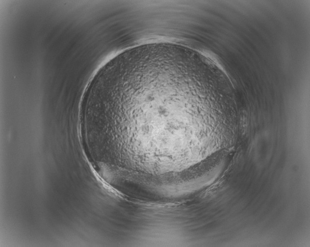 X0000056371143200509091642