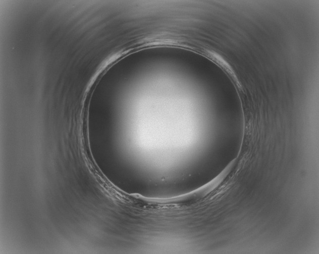 X0000056371146200509091642