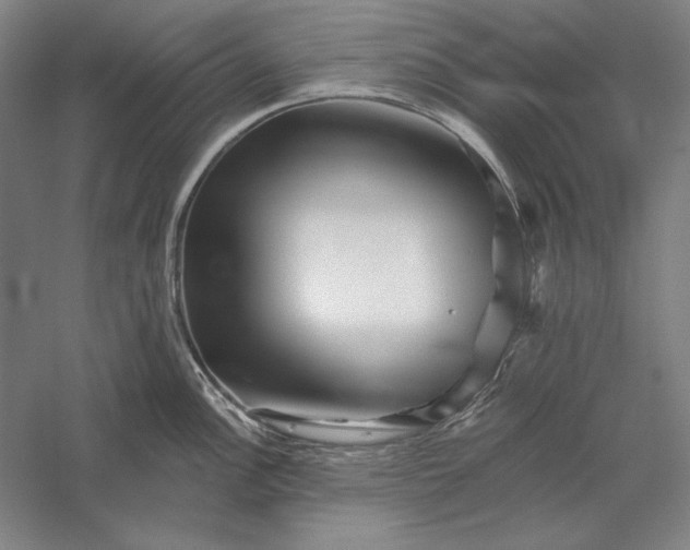 X0000056371148200509091642