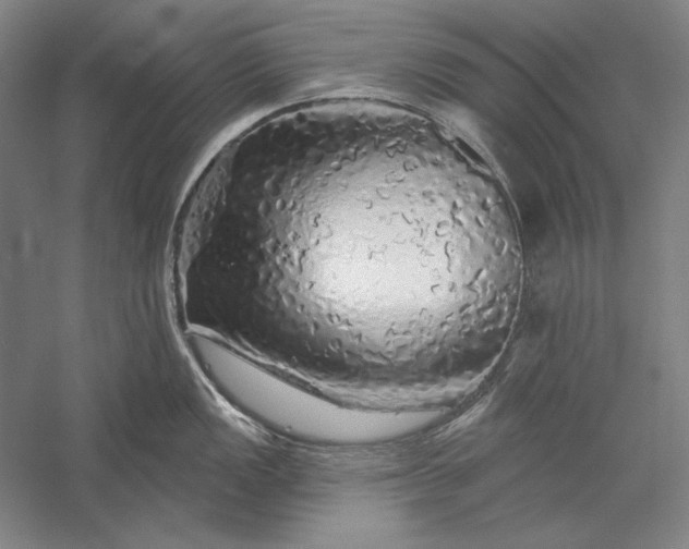 X0000056371149200509091642