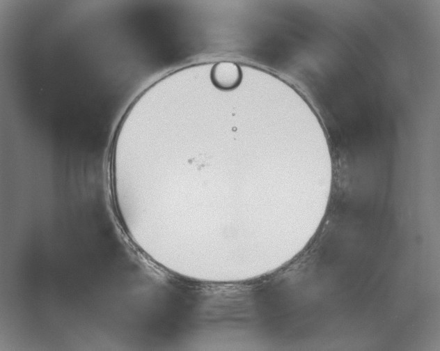 X0000056371150200509091642