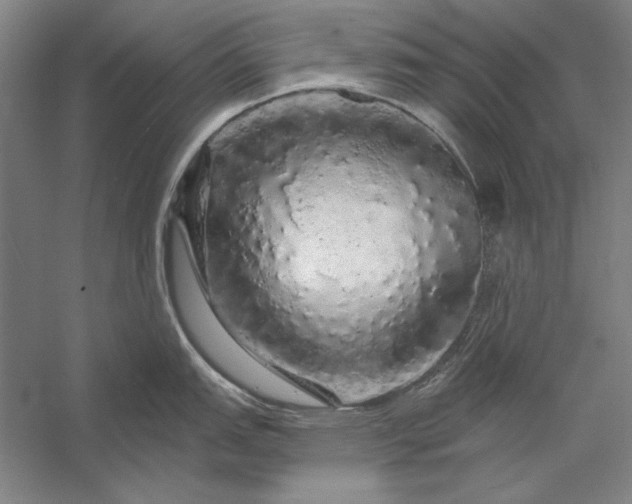 X0000056371151200509091642