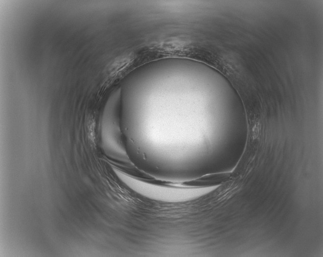 X0000056371156200509091641