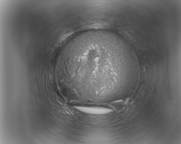 X0000056371158200509091641