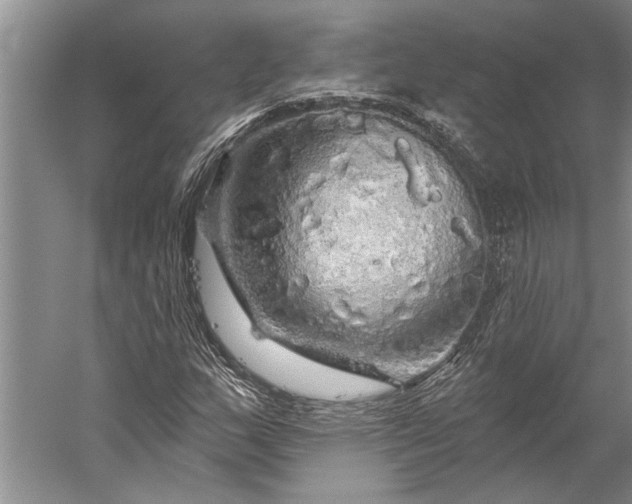 X0000056371159200509091641