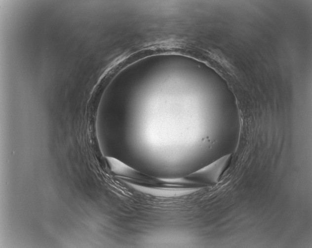 X0000056371160200509091641