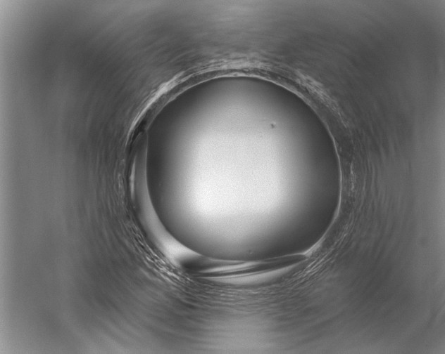 X0000056371165200509091641