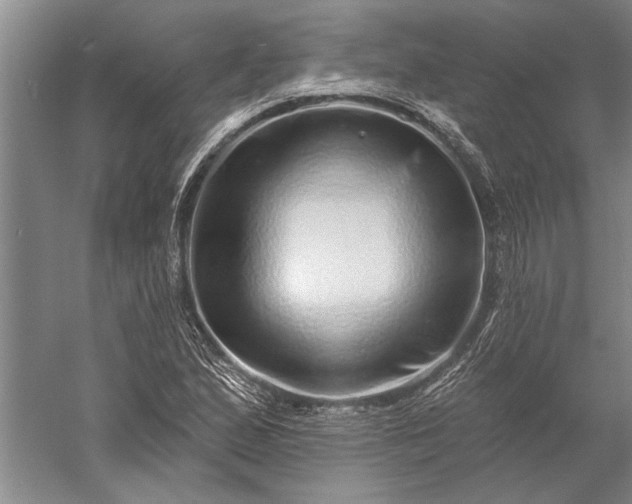 X0000056371167200509091641